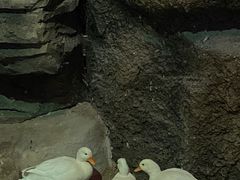 -绿色星球动物主题公园
