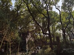 -天一阁博物院