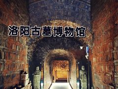 -洛阳古墓博物馆