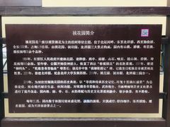 -桃花堤公园