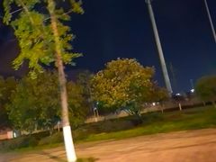 -张家界荷花国际机场