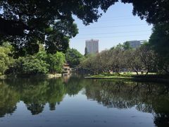 -晓港公园