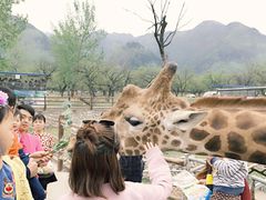-西安秦岭野生动物园