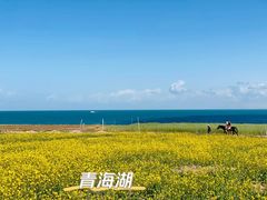 -青藏高原野生动物园