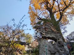 -西园戒幢律寺