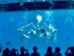 -瑞德姆美人鱼海底演艺主题餐厅(亚龙湾店)