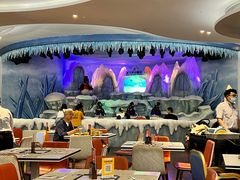 -帝企鹅自助餐厅•儿童岛•真企鹅(长隆企鹅酒店)