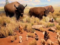 -陕西自然博物馆