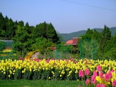 -中国香山·寿香谷