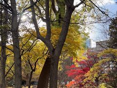 -北海道厅旧本厅舍(旧本庁舎)