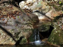 -王顺山国家森林公园