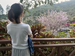 -小南山公园