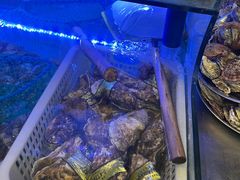 -老家黄墩小错鸡·活海鲜