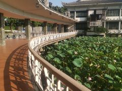 -荔湾湖公园