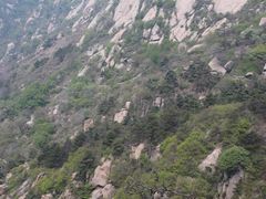 -鲁山国家森林公园