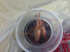 -七的湖·江南蟹舫·阳澄湖农家菜(蟹舫苑店)