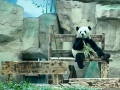 -无锡动物园·太湖欢乐园
