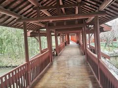 -南汇桃花村