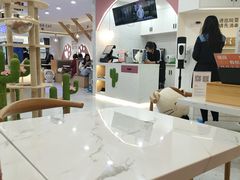 -喵园·猫主题咖啡厅·撸猫·猫咖(国贸店)