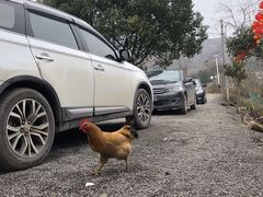 -崇阳三特浪口温泉
