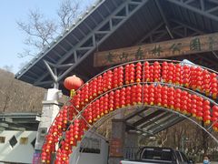 -南京老山国家森林公园