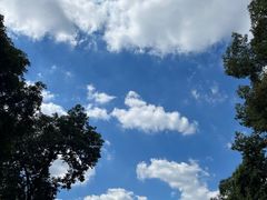 -成都市文殊院