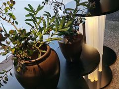 -盡膳口福跷脚牛肉火锅(北美新天地店)