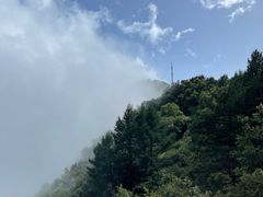 -白草畔自然风景区