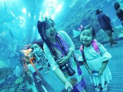 -迪拜水族馆及水下动物园