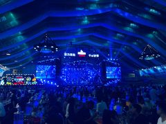 -第35届青岛国际啤酒节