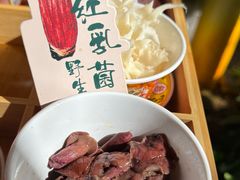 -菌自由丨野生菌火锅特色庭院餐厅(丽江古城店)