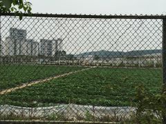 -芦仙山景区-飞越丛林探险乐园