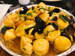 铁板海鲜豆腐-杨正宗烤全羊(北二环店)