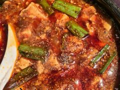 -陈麻婆豆腐总店