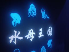 -常州海昌海洋探索馆