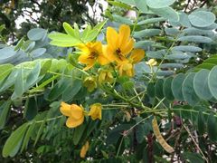 iphone_upload_pic-新天地酒店(儋州夏日广场店)