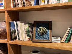 -自由生长植物工作室(深港花卉中心店)