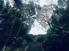 -富乐山