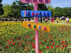 -长春公园(普阳街道)