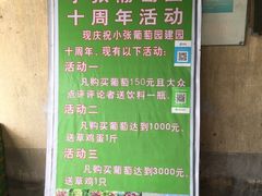 -马陆小张葡萄园农家乐