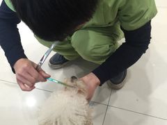 -芭比堂动物医院(广州爱宠下渡路分院)