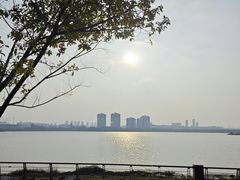 -九龙湖公园