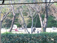 -虹之森·小馆