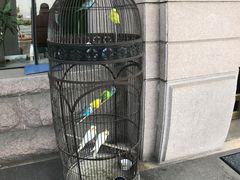 -老味道民宿(栈桥店)