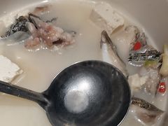 -宋小谨(惠安禹洲店)