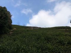 -径山寺