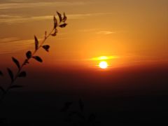 -米村拌饭(欧亚万豪店)