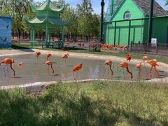 -秦皇岛野生动物园