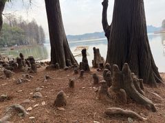 -东湖落雁景区