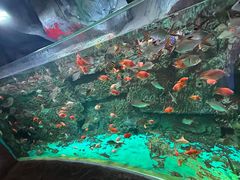 -威海华夏城景区